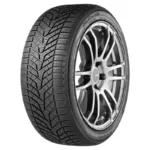 Ձմեռային անվադողեր 255/40R19 A0VV905 XRBL FMEB BluEarth